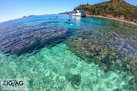 Whitehaven Beach Day Tour With Snorkel In Whitsundays Island - Australia Accommodation 5