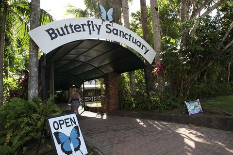 Kuranda Day Trip From Port Douglas Upgrade To Skyrail & Scenic Train Available - Australia Accommodation 0
