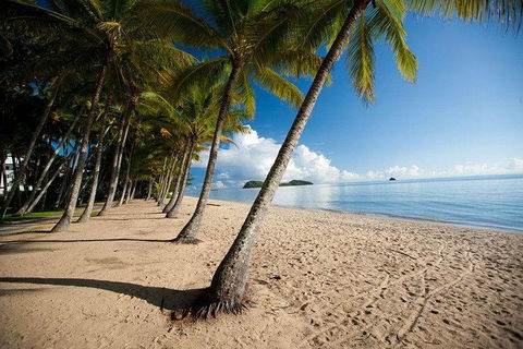 Kuranda Day Trip From Port Douglas Upgrade To Skyrail & Scenic Train Available - Australia Accommodation 1