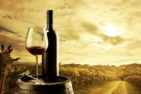 McLaren Vale Luxury Wine Tour - Australia Accommodation 0