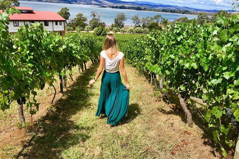 Tamar Valley Wine Tour With Lunch - Australia Accommodation 2
