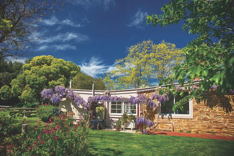 McLaren Vale Winery Small Group Tour With Wine Tasting And Lunch - Australia Accommodation 2