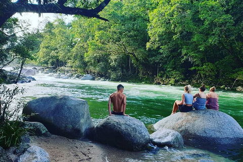 Afternoon Half-Day Daintree Rainforest And River Tour - Australia Accommodation 0