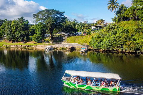 Afternoon Half-Day Daintree Rainforest And River Tour - Australia Accommodation 1