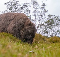 3-Day Cradle Mountain Photography Workshop - Australia Accommodation