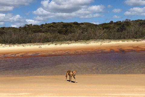 Pippies 3 Days 2 Nights Fraser Island Tour - Australia Accommodation 2