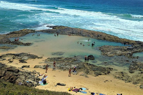 Pippies 3 Days 2 Nights Fraser Island Tour - Australia Accommodation 5