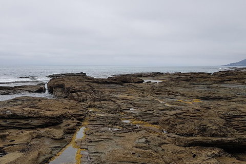 Luxury Private Great Ocean Road Tour Up To 11 People - Entire Vehicle - Australia Accommodation 1