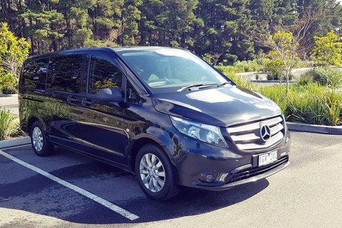 Luxury Private Great Ocean Road Tour Up To 11 People - Entire Vehicle - Australia Accommodation 3