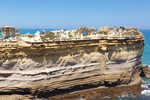 Luxury Private Great Ocean Road Tour Up To 11 People - Entire Vehicle - Australia Accommodation 4