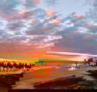 1 Hour Broome Sunset Camel Tour - Australia Accommodation