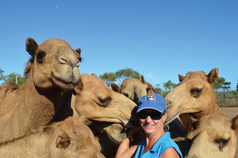 Broome Pre-sunset Camel Tour 30 Minutes - Australia Accommodation 0