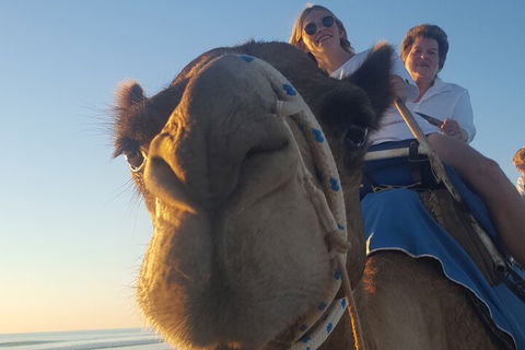 Broome Pre-sunset Camel Tour 30 Minutes - Australia Accommodation 1