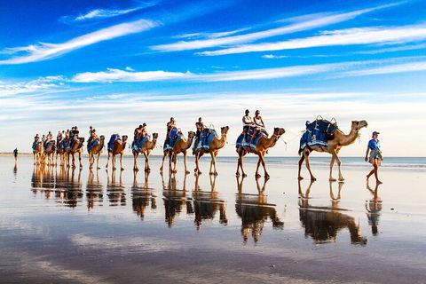 Broome Pre-sunset Camel Tour 30 Minutes - Australia Accommodation 2