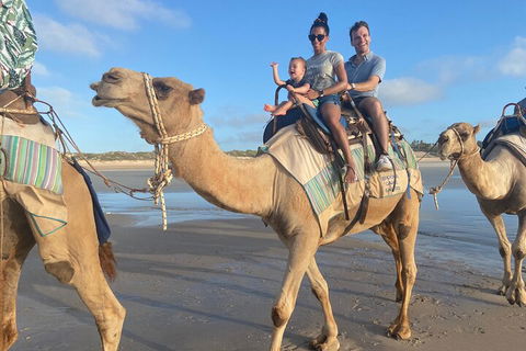 Broome Pre-sunset Camel Tour 30 Minutes - Australia Accommodation 3