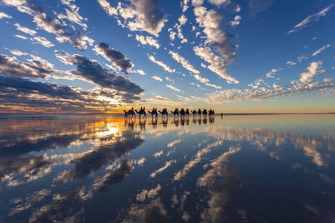 Broome Pre-sunset Camel Tour 30 Minutes - Australia Accommodation 4