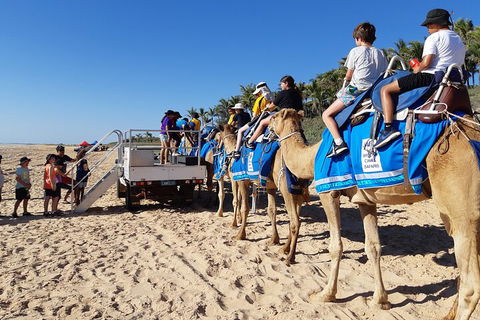 Broome Pre-sunset Camel Tour 30 Minutes - Australia Accommodation 5