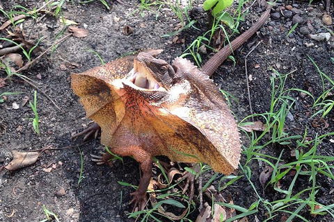 Litchfield National Park And Jumping Crocodile Cruise - Australia Accommodation 1