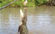 Litchfield National Park And Jumping Crocodile Cruise - thumb 2