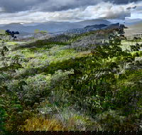 3-Day Tour to the Falls Mountains Lake  More of West Coast Tasmania - Australia Accommodation