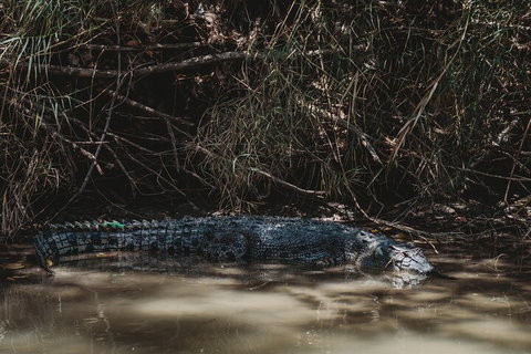 Kakadu Full-Day Tour From Darwin With Lunch - Australia Accommodation 4
