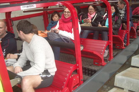 Full-Day Private Blue Mountains Tour With River Cruise - Australia Accommodation 0