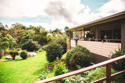 Full-day Springbrook National Park Tour From The Gold Coast - Australia Accommodation 2