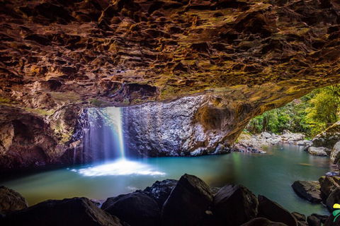 Full-day Springbrook National Park Tour From The Gold Coast - Australia Accommodation 3