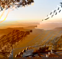 O'Reilly's  Lamington National Park incl. Alpaca Farm  Vineyard - Australia Accommodation