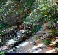 Fraser Island 4WD Tour from Rainbow Beach - Australia Accommodation