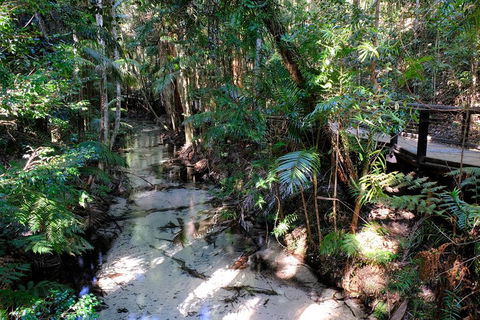 Fraser Island 4WD Tour From Rainbow Beach - Australia Accommodation 0