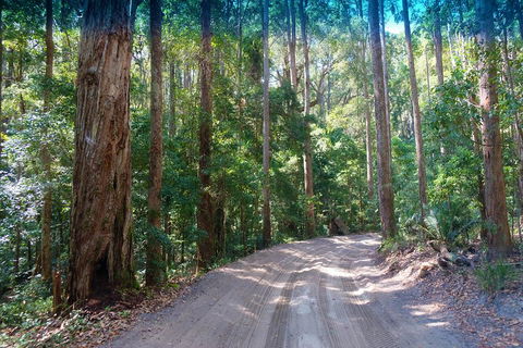 Fraser Island 4WD Tour From Rainbow Beach - Australia Accommodation 4