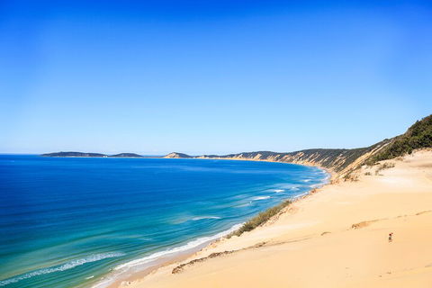 Kayak With Dolphins And 4WD Great Beach Drive Day Trip From Noosa - Australia Accommodation 0