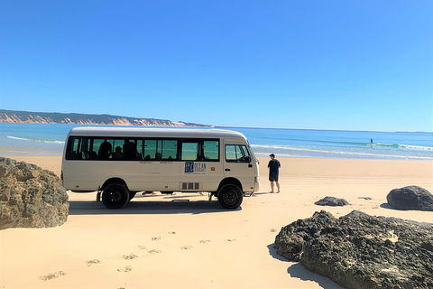 Kayak With Dolphins And 4WD Great Beach Drive Day Trip From Noosa - Australia Accommodation 4