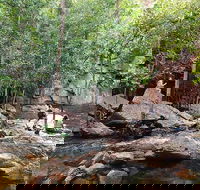 Ethical Adventures - Best in the WET - Litchfield / Kakadu 3 Day- max 10 guests - Australia Accommodation