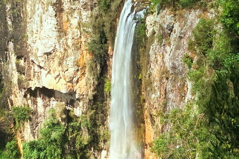 Natural Arch, Rainforest & Volcano Canyon - Private Half Day Tour - Australia Accommodation 2