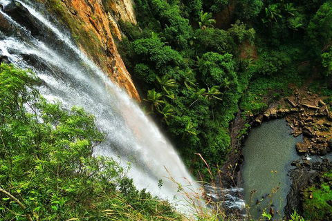 Natural Arch, Rainforest & Volcano Canyon - Private Half Day Tour - Australia Accommodation 5