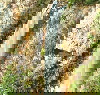 Private Tour - Rainforest  Waterfalls Extravaganza - Australia Accommodation