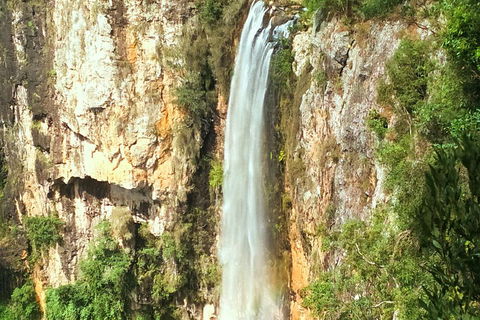 Private Tour - Rainforest & Waterfalls Extravaganza - Australia Accommodation 0