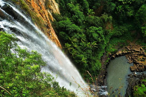 Private Tour - Rainforest & Waterfalls Extravaganza - Australia Accommodation 2