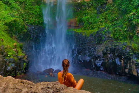 Private Tour - Rainforest & Waterfalls Extravaganza - Australia Accommodation 3
