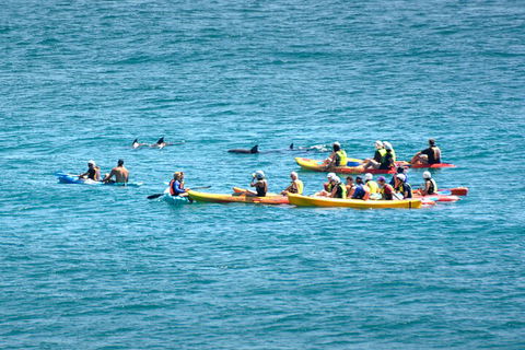 The Byron Bay Sea Kayak Tour - Australia Accommodation 1