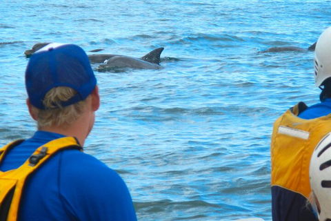 The Byron Bay Sea Kayak Tour - Australia Accommodation 4