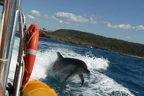Noosa Oceanrider - Adventure Tour - Australia Accommodation 1