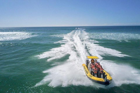 Noosa Oceanrider - Adventure Tour - Australia Accommodation 2