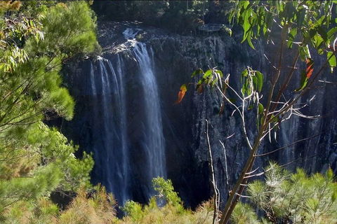 Byron Bay Hinterland Tour Including Rainforest Walk To Minyon Falls - Australia Accommodation 0