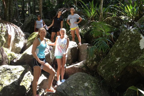 Byron Bay Hinterland Tour Including Rainforest Walk To Minyon Falls - Australia Accommodation 3