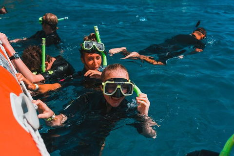 Whitehaven Beach And Hill Inlet Lookout Full-Day Snorkeling Cruise By High-Speed Catamaran - Australia Accommodation 3