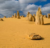 The Pinnacles Sea and Dunescapes Bush Reserve and Sunset Day Tour - Australia Accommodation