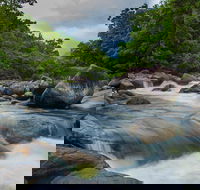 Cape Tribulation Day Tour - Australia Accommodation